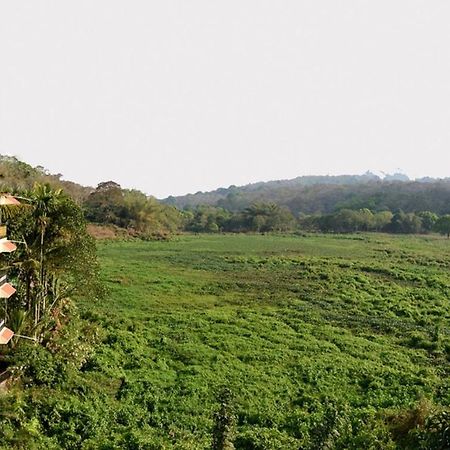 Jungle Palace Homestay Thekkady Eksteriør billede