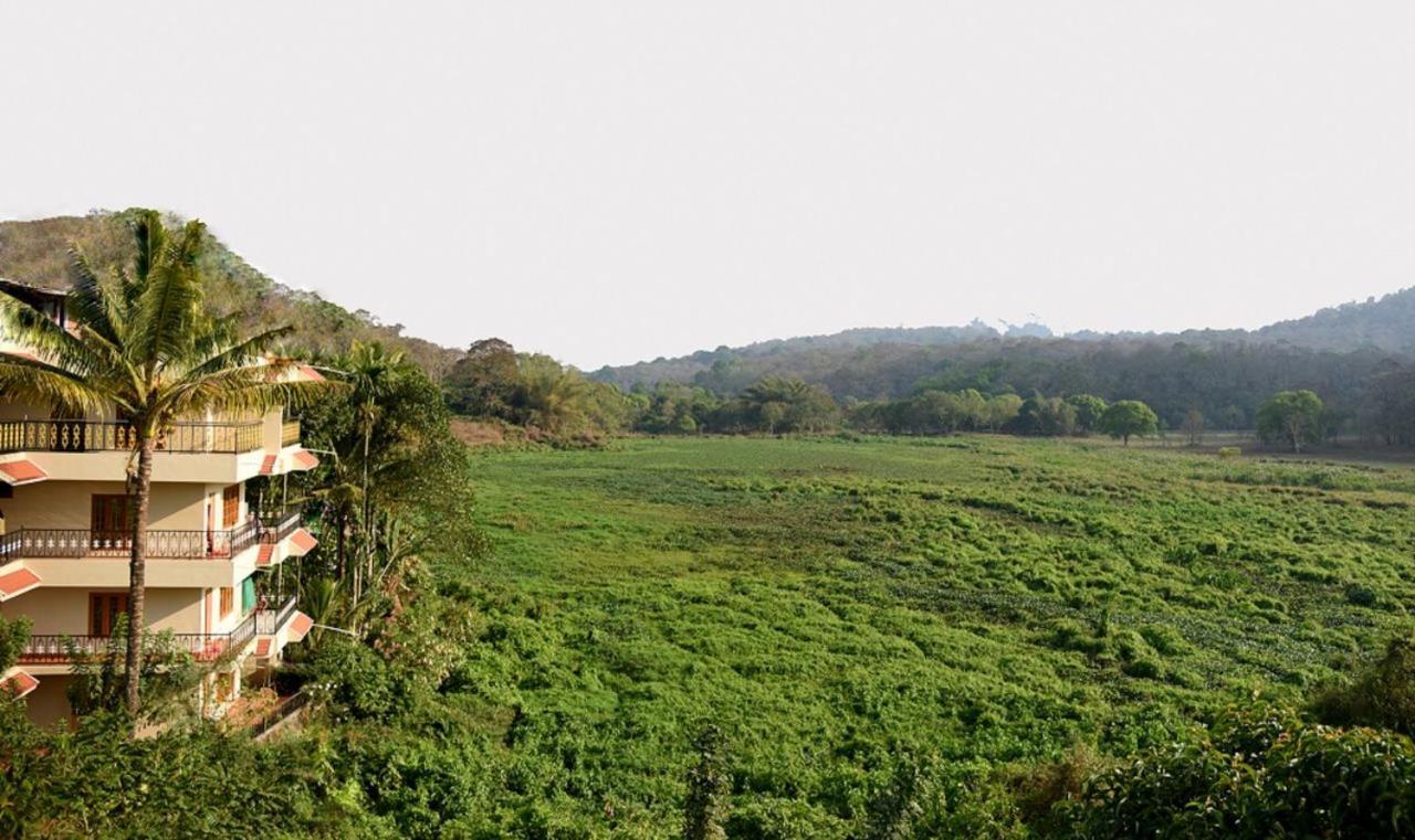 Jungle Palace Homestay Thekkady Eksteriør billede