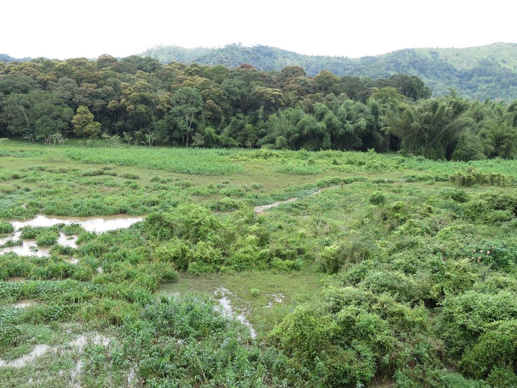 Jungle Palace Homestay Thekkady Eksteriør billede